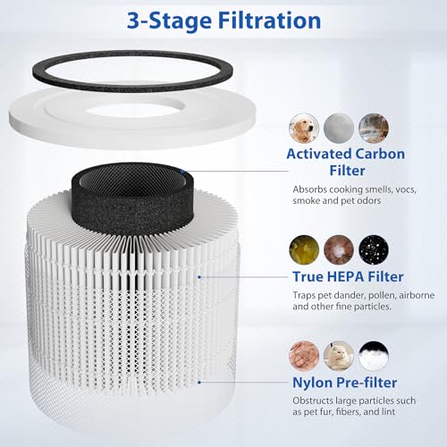 True HEPA Filter Replacement for LEVOIT Core 300 2 Pack (White)  
True HEPA Filter 3-in-1 H13 Grade Replacement for LEVO