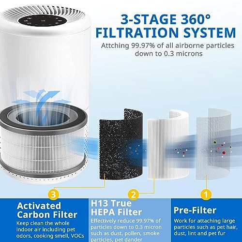 Replacement 2 Pack Vista 200 Filter for LEVOIT Air Purifier - 3-in-1 True HEPA & Carbon Filter - High Efficiency, The F